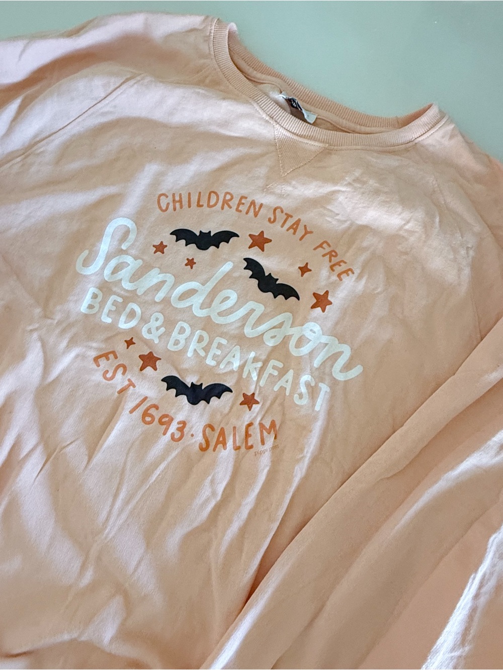 Peach Sandersson Bed & Breakfast Graphic Sweatshirt